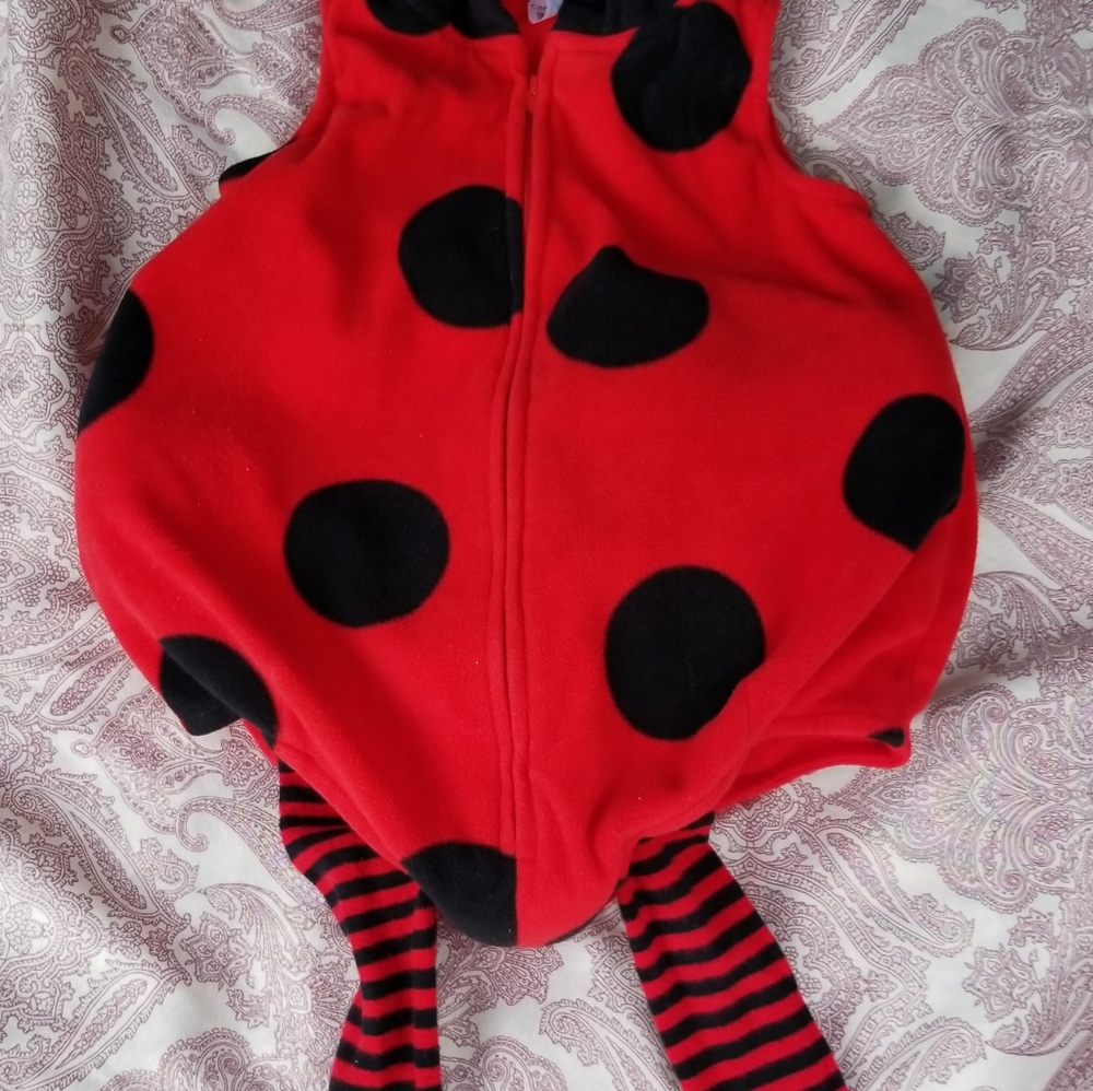 Carter's lady bug costume